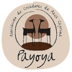 asociacion-cabra-payoya