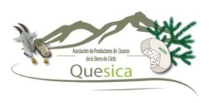 Quesica