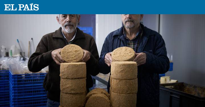 El Bosqueño en El País