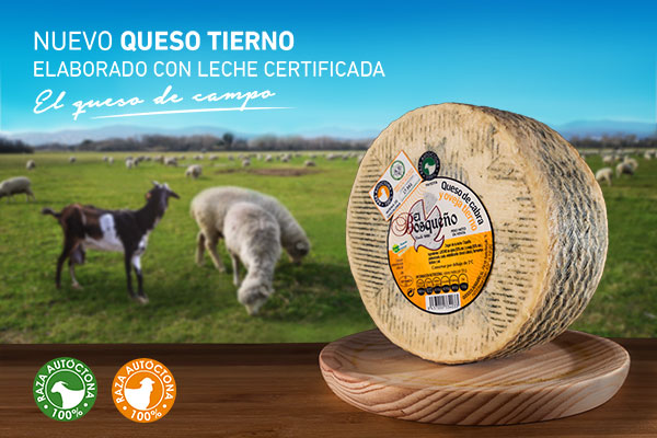 queso tierno