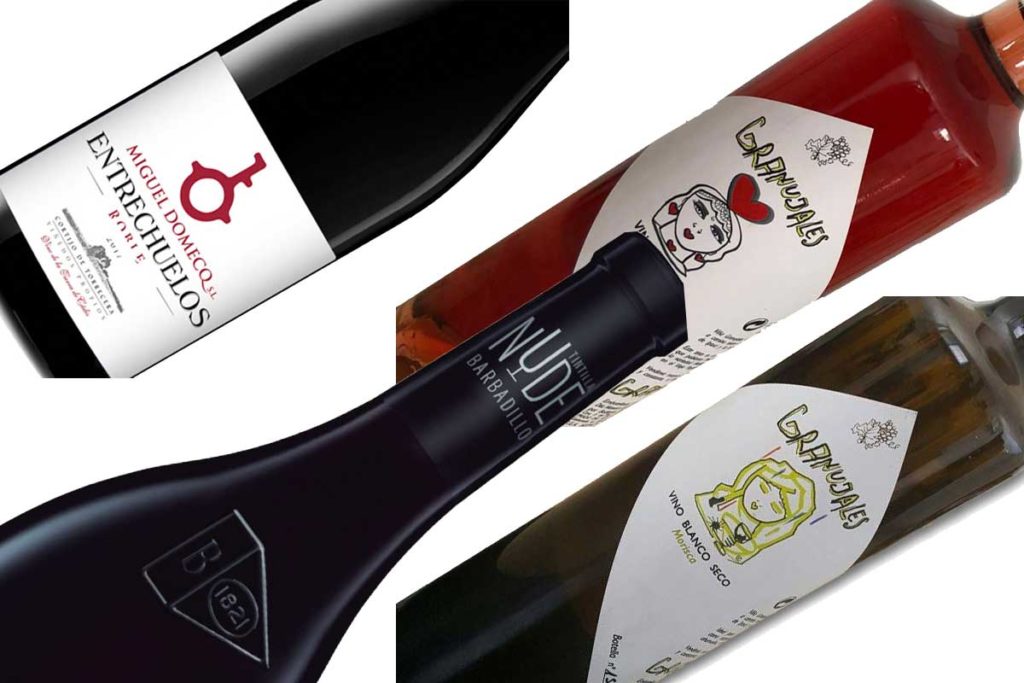 botellas de vinos de cádiz