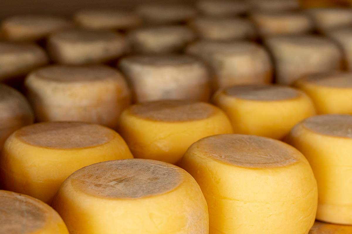Conserva el queso fresco por más tiempo con este truco