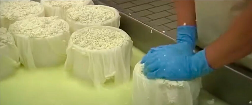 moldeado elaboración del queso